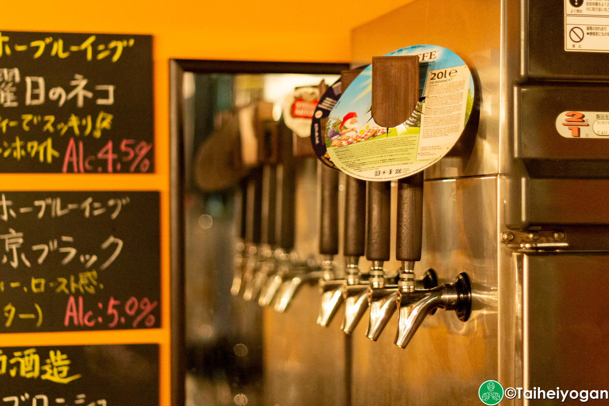 Maison de Biere - Interior - Beer Taps